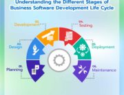 Understanding-the-different-stages