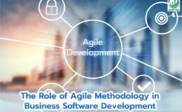 the-role-of-agile-methodology
